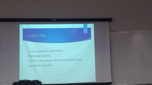 Conclusões