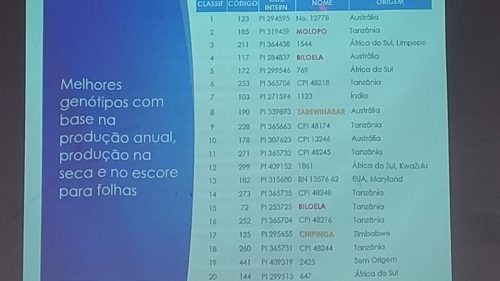 Resultados do Projeto